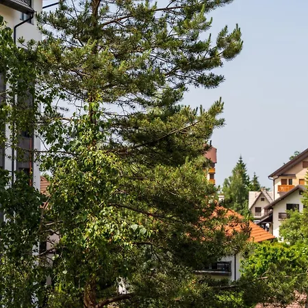 Labud Apartman